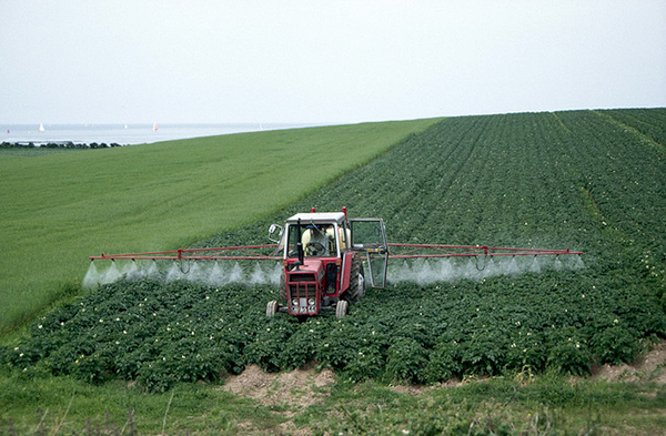 Сельскохозяйственные пестициды: разновидности и характеристики
