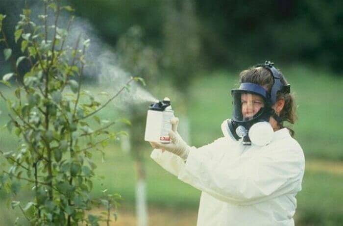 Химические и биологические средства защиты растений