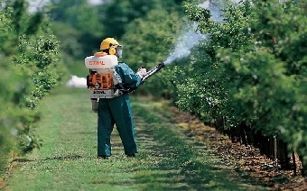 Где можно купить пестициды?